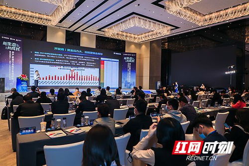 房產湖南站正式啟航，深耕代理服務助力湖湘地產新篇