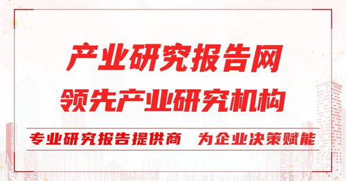 2022-2028年中國牙膏行業(yè)前景研究與投資戰(zhàn)略咨詢報告 聚焦中小企業(yè)管理